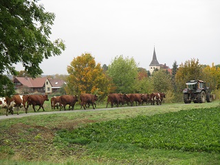 Khe richtung Kirche